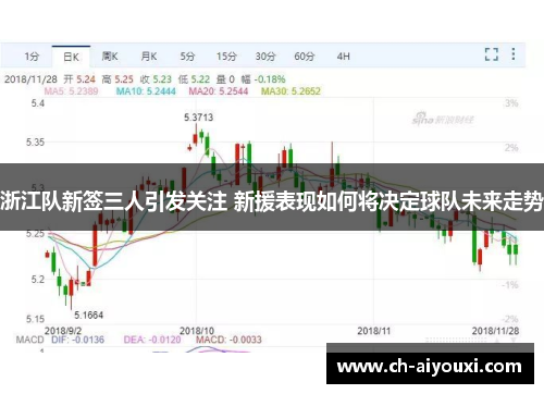 浙江队新签三人引发关注 新援表现如何将决定球队未来走势