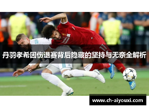 丹羽孝希因伤退赛背后隐藏的坚持与无奈全解析
