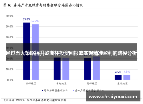 通过五大策略提升欧洲杯投资回报率实现精准盈利的路径分析
